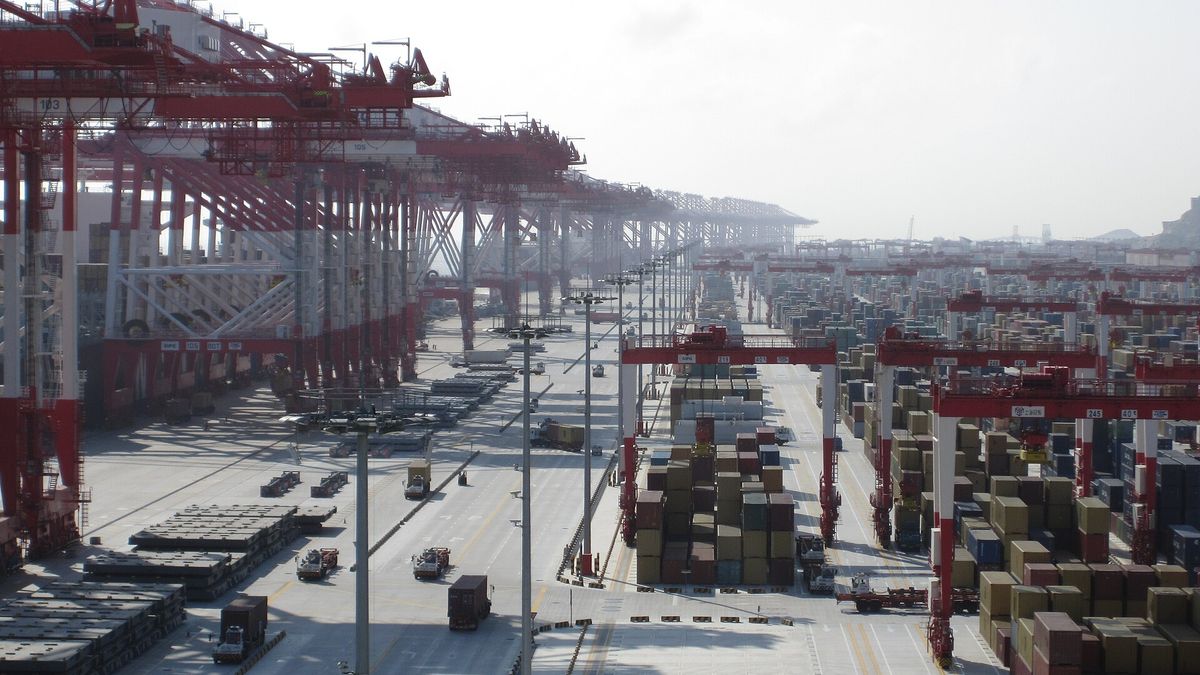 Stacked containers and cranes at Shanghai's Yangshan deep-water port